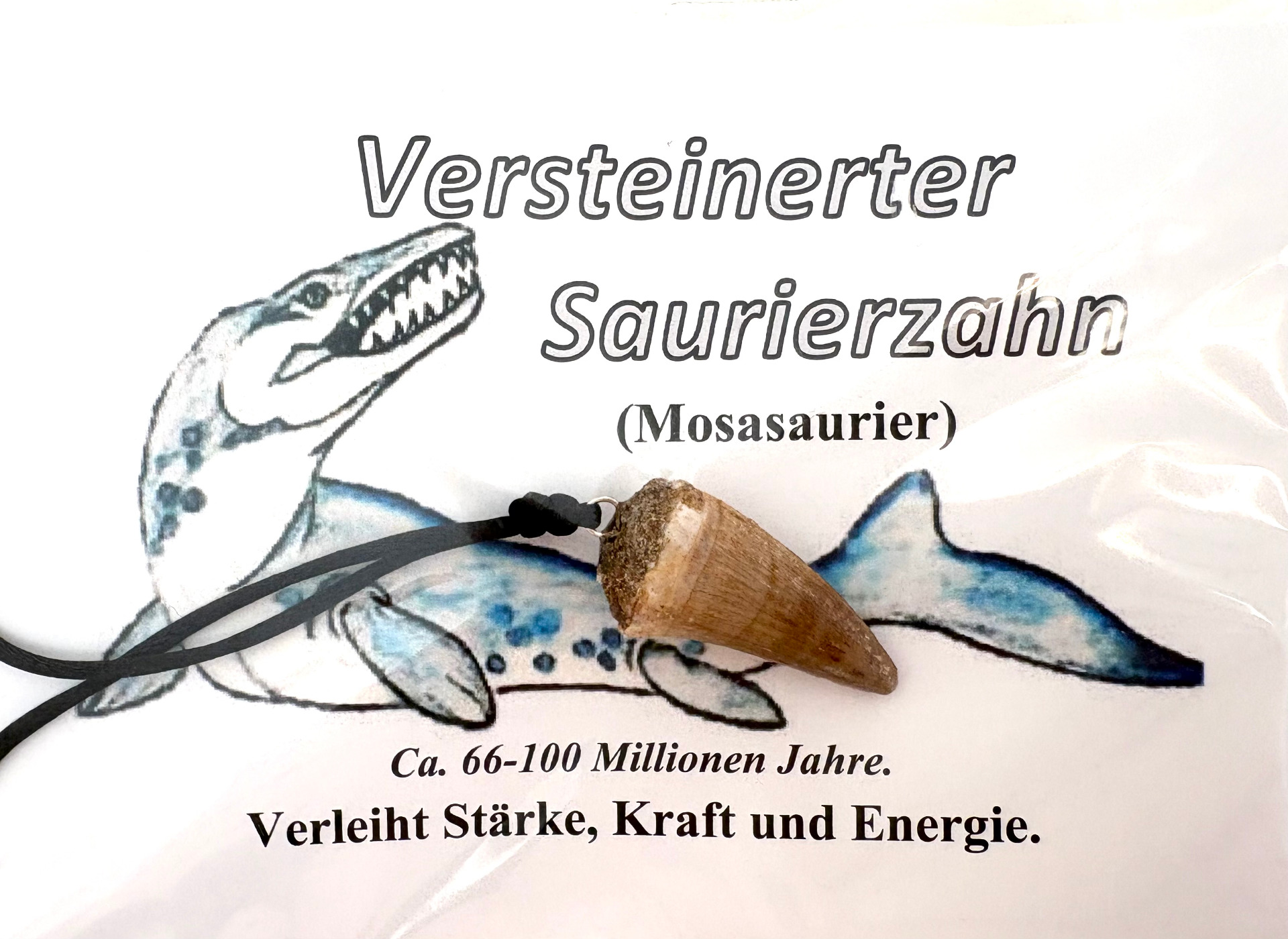 Saurierzahn Kette