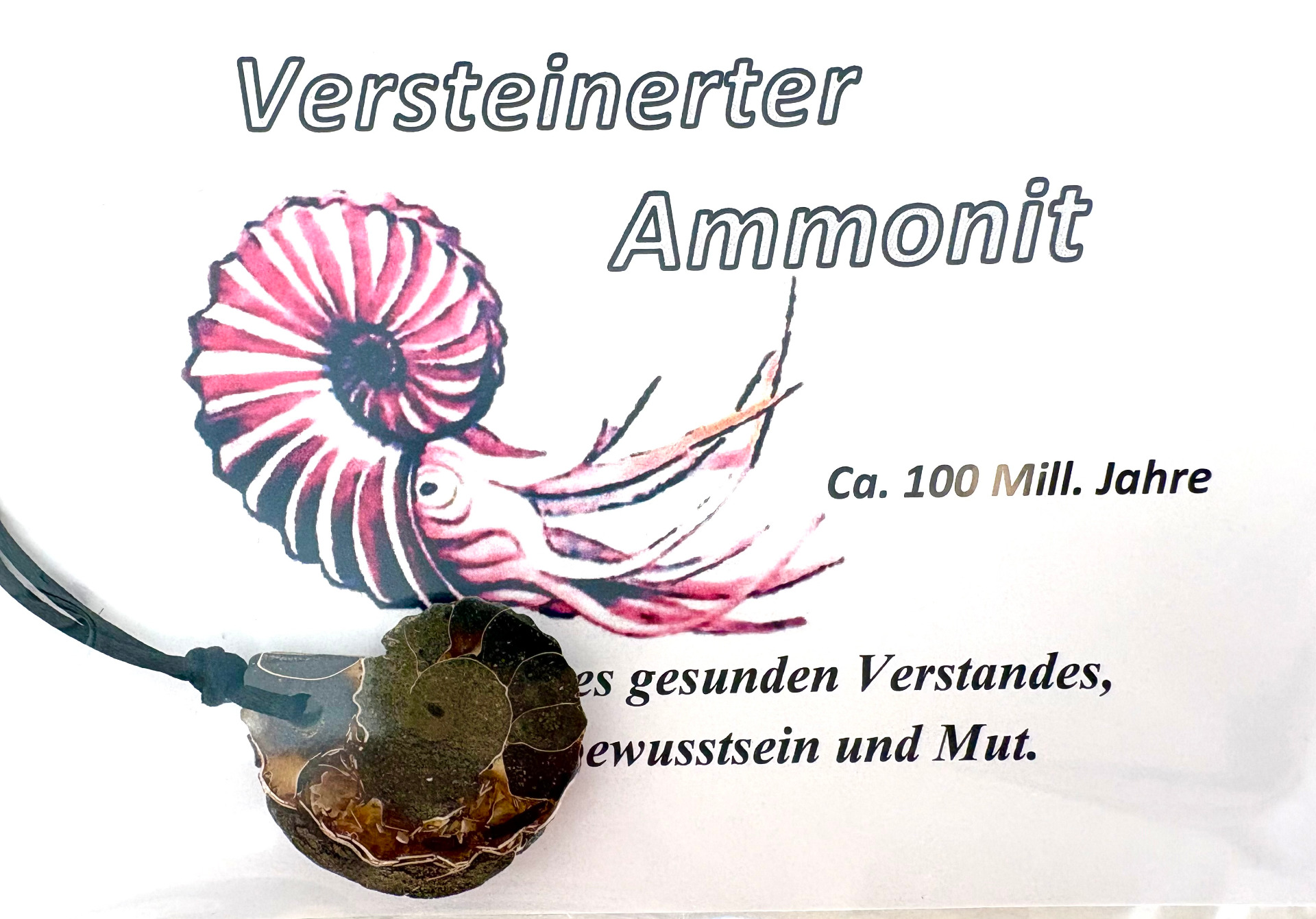 Ammonit Kette